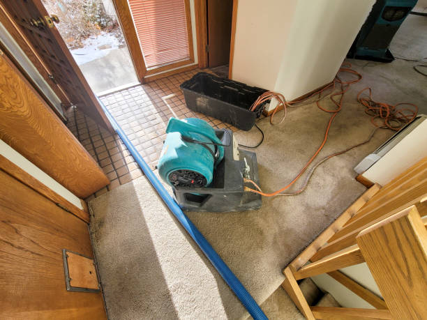 Carpet water damage restoration in TX