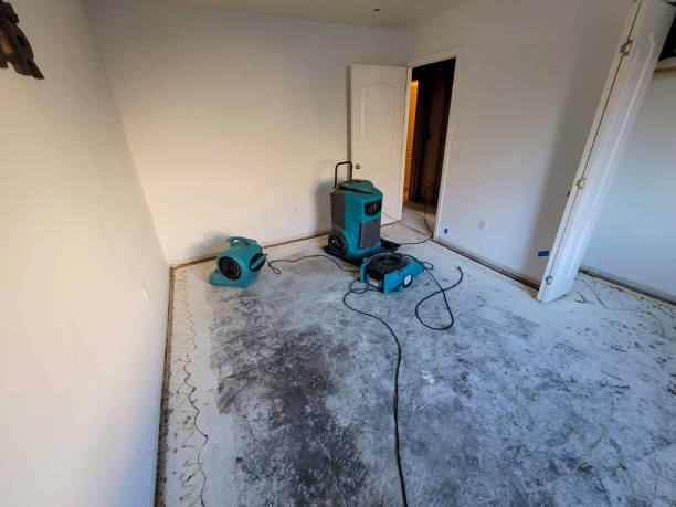 Best Residential water damage restoration  in Gilmer, TX