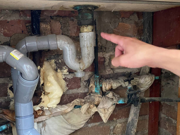 Best Ceiling water damage repair  in Gilmer, TX